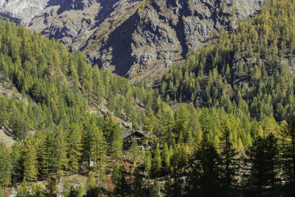 Hotel Fafleralp Wald